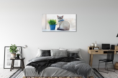 Sklenený obraz sediaci mačka