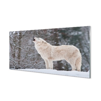 Sklenený obraz Vlk v zime lese