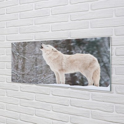 Sklenený obraz Vlk v zime lese