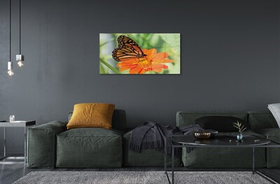 Sklenený obraz Kvet farebný motýľ