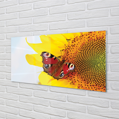 Sklenený obraz slnečnica motýľ