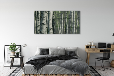Sklenený obraz brezového lesa