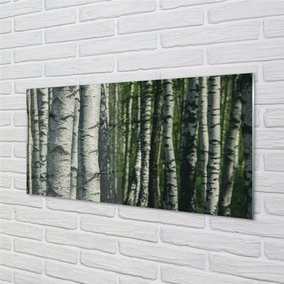 Sklenený obraz brezového lesa