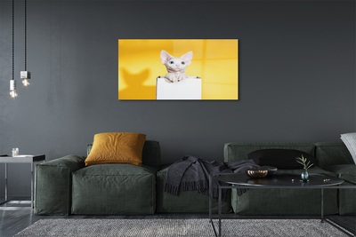 Sklenený obraz sediaci mačka