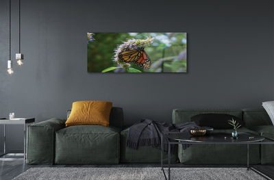 Sklenený obraz Kvet farebný motýľ
