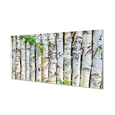 Sklenený obraz brezové lístie