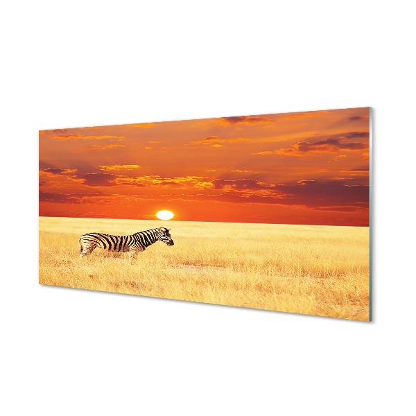 Sklenený obraz Zebra poľa sunset
