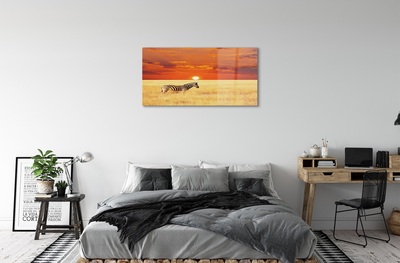 Sklenený obraz Zebra poľa sunset