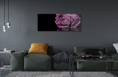 Obraz na skle purpurová ruža