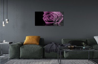 Obraz na skle purpurová ruža