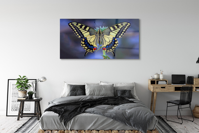 Sklenený obraz Motýľ na kvetine