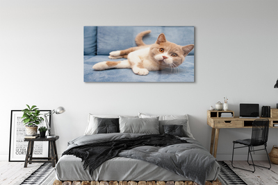 Sklenený obraz ležiace mačka