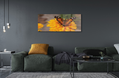 Sklenený obraz Farebný motýľ kvetina