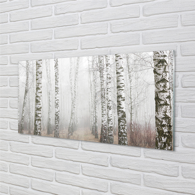 Sklenený obraz hmla breza