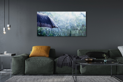 Obraz na skle Umbrella dažďovej kvapky