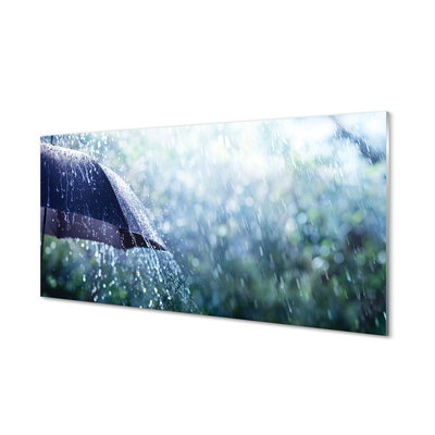 Obraz na skle Umbrella dažďovej kvapky