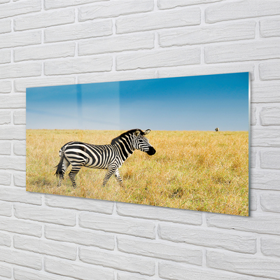 Sklenený obraz Zebra box