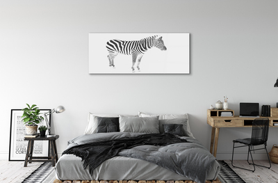 Sklenený obraz maľované zebra
