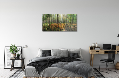 Sklenený obraz les breza