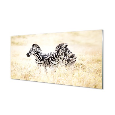 Sklenený obraz zebra box