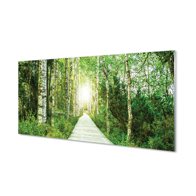 Sklenený obraz Breza lesná cesta
