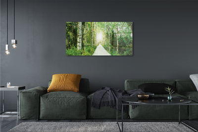 Sklenený obraz Breza lesná cesta