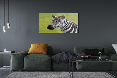 Sklenený obraz zebra