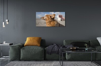 Sklenený obraz Hnedý pes beach