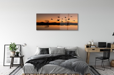 Sklenený obraz Lietajúce vtáky sunset