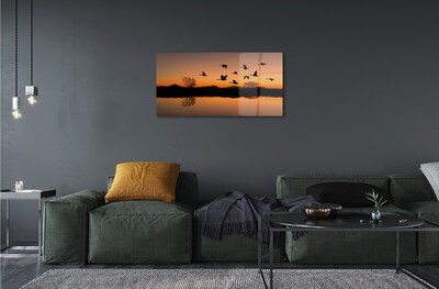 Sklenený obraz Lietajúce vtáky sunset