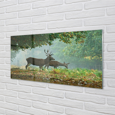 Sklenený obraz Jeleňa na jeseň les