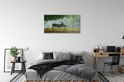 Sklenený obraz Jeleňa na jeseň les