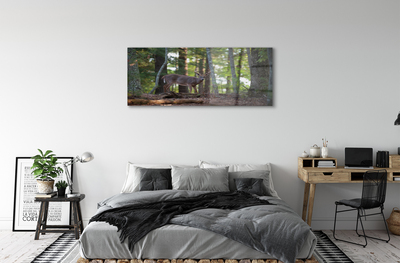 Sklenený obraz jeleň lesný