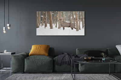 Sklenený obraz Jeleň zimné les