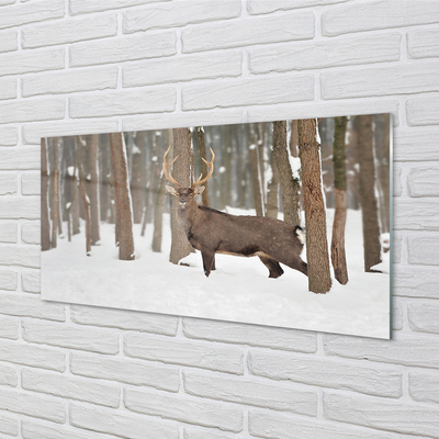 Sklenený obraz Jeleň zimné les