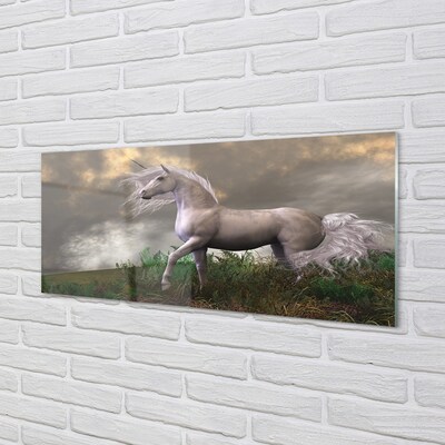 Sklenený obraz Unicorn mraky