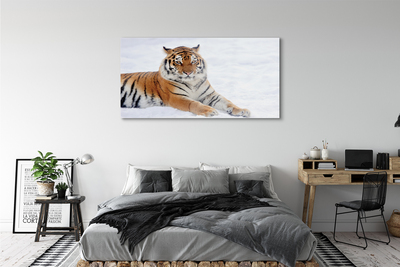 Sklenený obraz Tiger winter