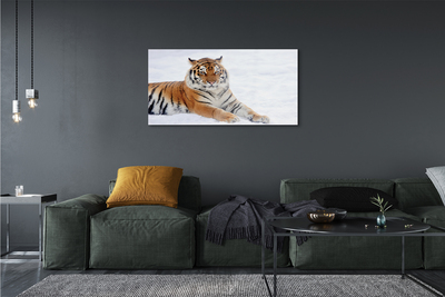 Sklenený obraz Tiger winter