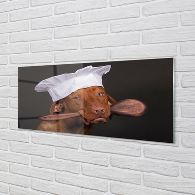 Sklenený obraz dog chef