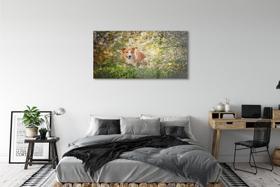 Sklenený obraz Psie lesné kvety