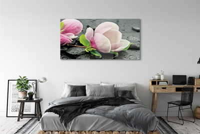 Sklenený obraz Magnolia kamene