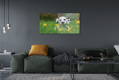 Sklenený obraz prérijnej pes