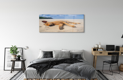 Sklenený obraz Ležiaci pes pláž