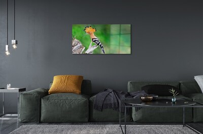 Sklenený obraz Strom farebný papagáj