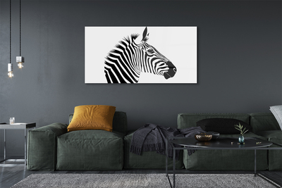Sklenený obraz ilustrácie zebra