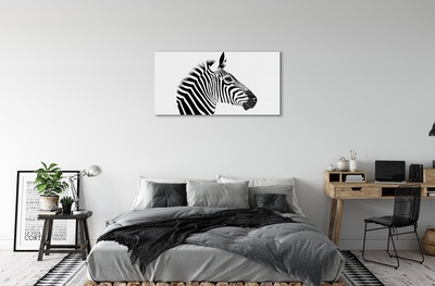 Sklenený obraz ilustrácie zebra