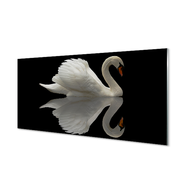 Sklenený obraz Swan v noci