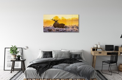 Sklenený obraz Jeleň zimné slnko