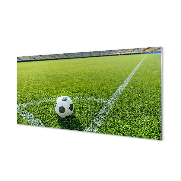 Obraz na skle Futbalový štadión trávy
