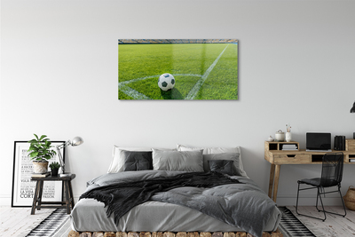 Obraz na skle Futbalový štadión trávy